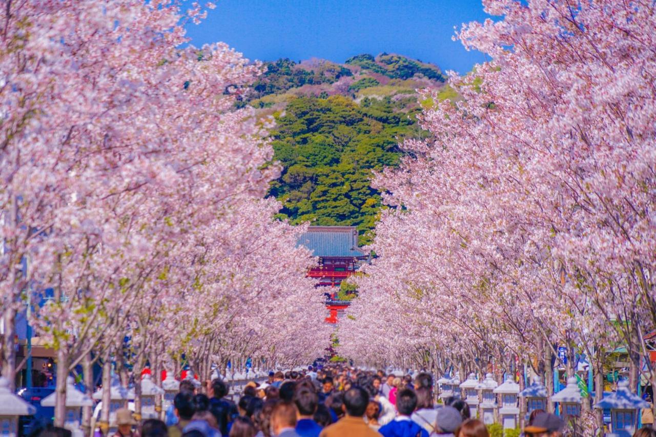 Kiyaza Kamakura Resort Eksteriør billede